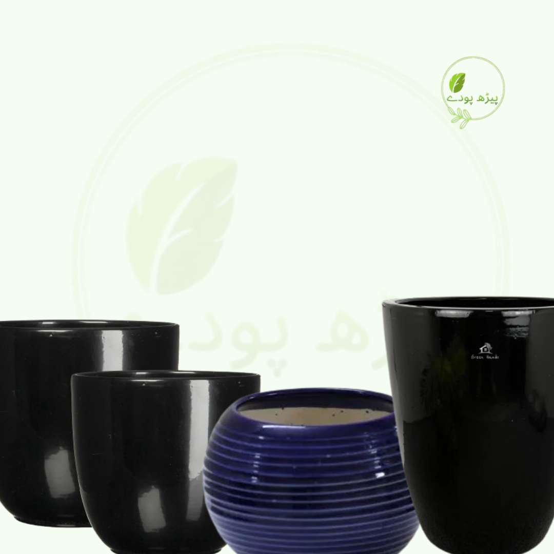 Pots