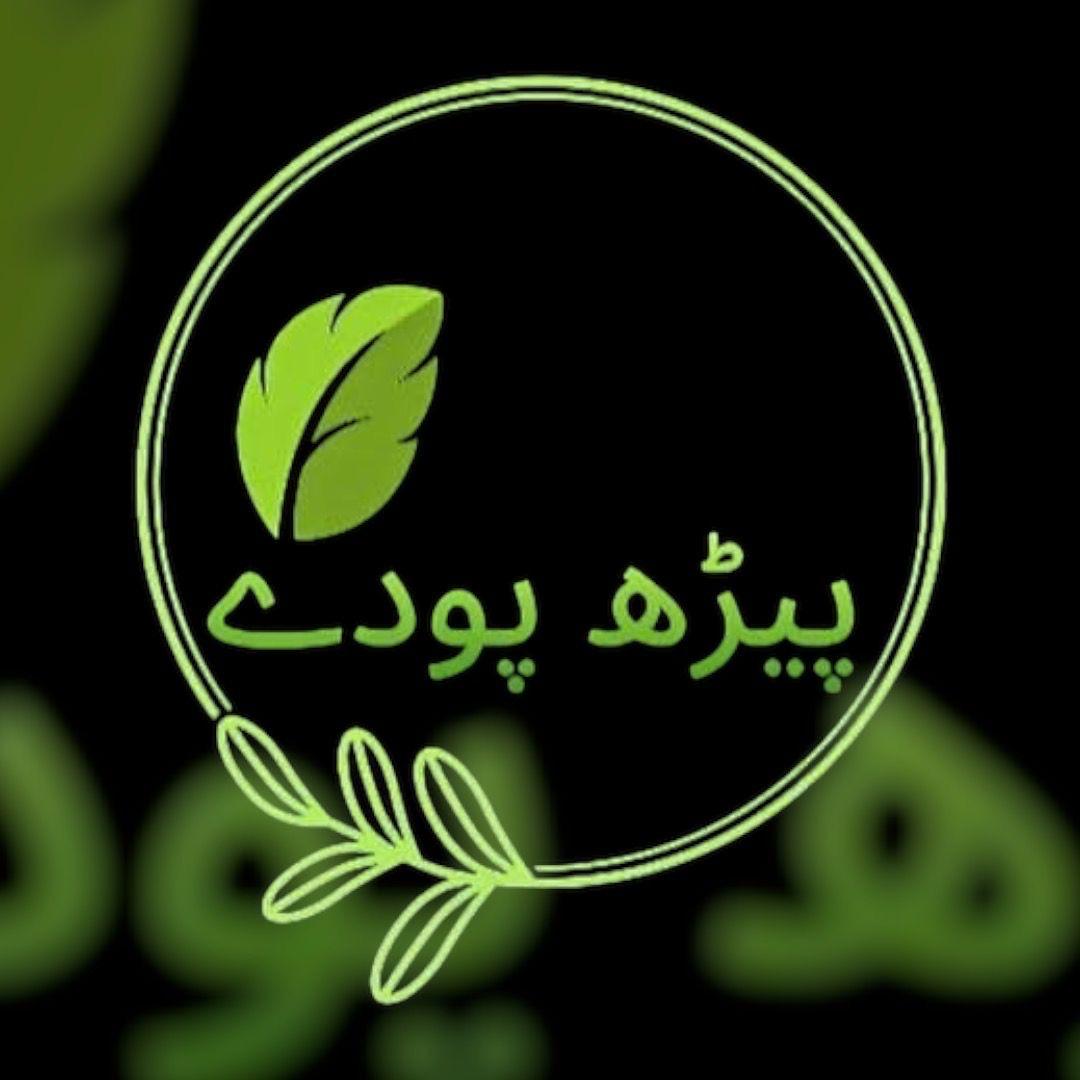 plant 1