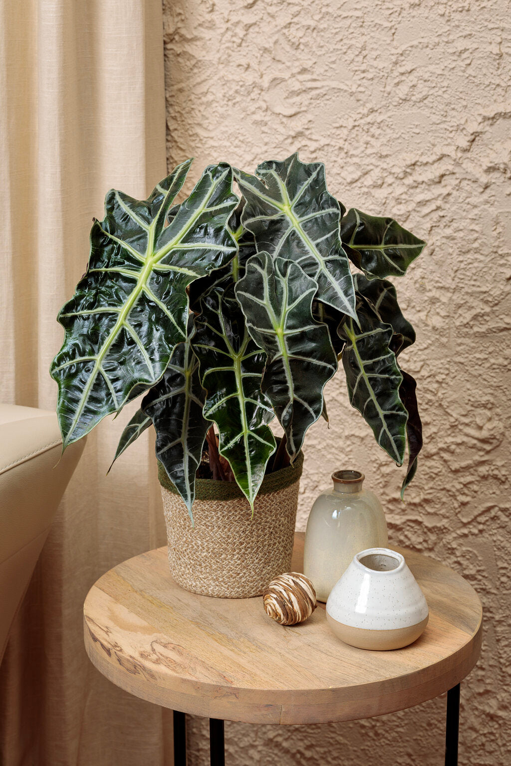 product 2 Indoor